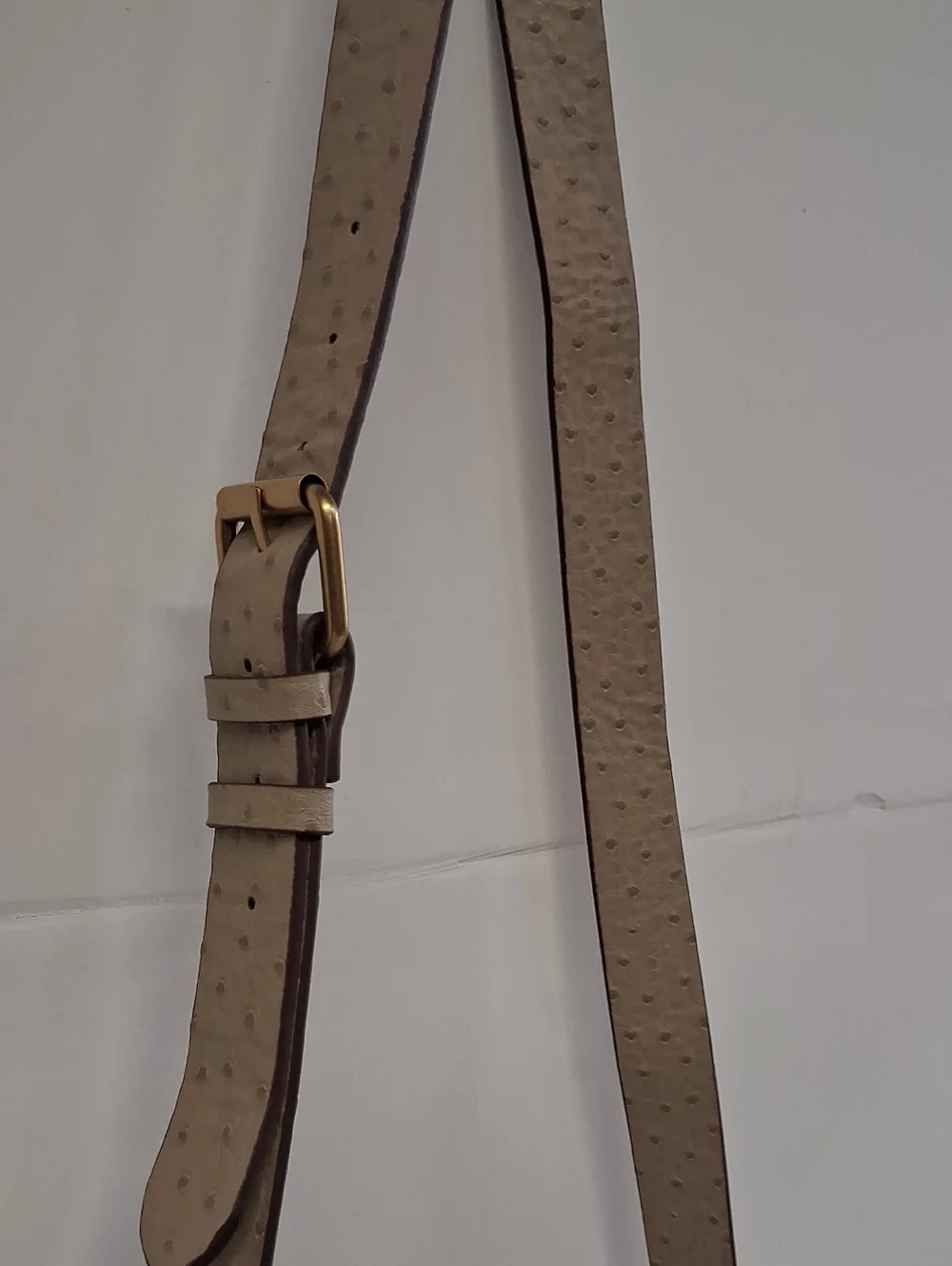 NWOT Womens Rosetti Shelby Crossbody Bag
